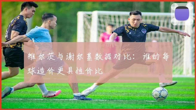 维尔茨与谢尔基数据对比：谁的每球造价更具性价比