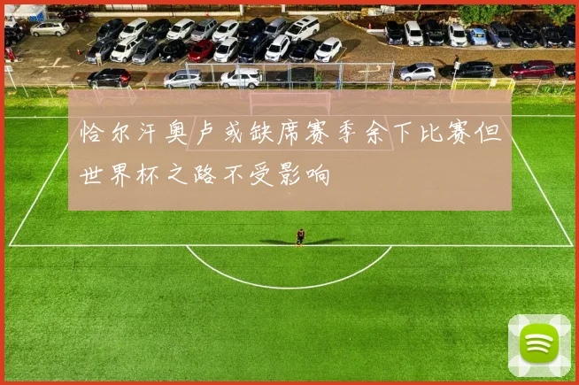 恰尔汗奥卢或缺席赛季余下比赛但世界杯之路不受影响