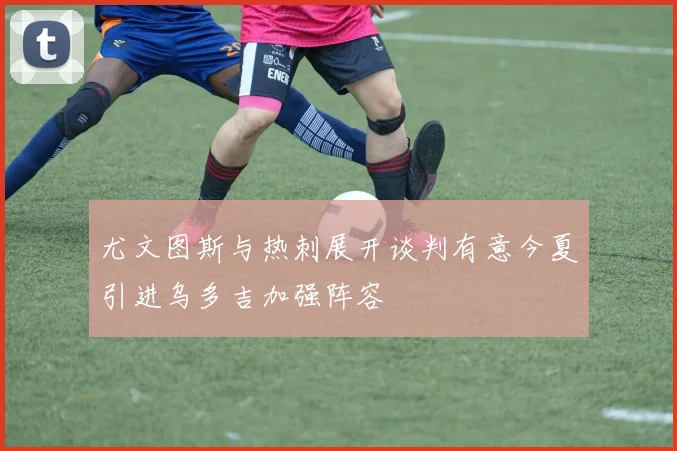 尤文图斯与热刺展开谈判有意今夏引进乌多吉加强阵容